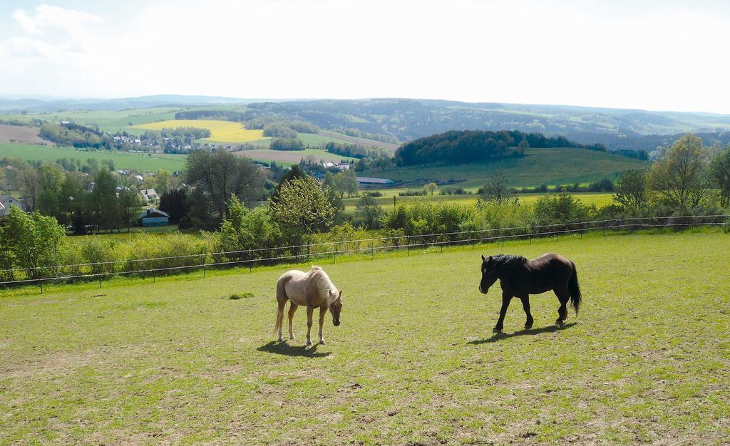 Landgasthof Dittersdorfer Hoehe Amtsberg Exterior foto