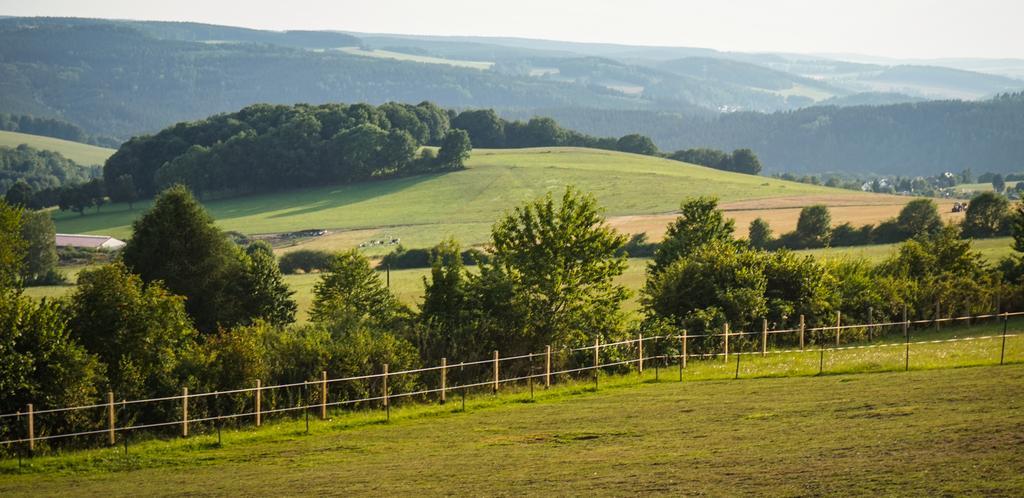 Landgasthof Dittersdorfer Hoehe Amtsberg Exterior foto
